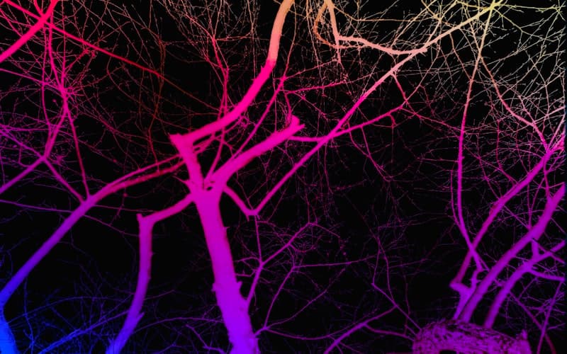 Brain with ADHD-style scattered thoughts converging on reading